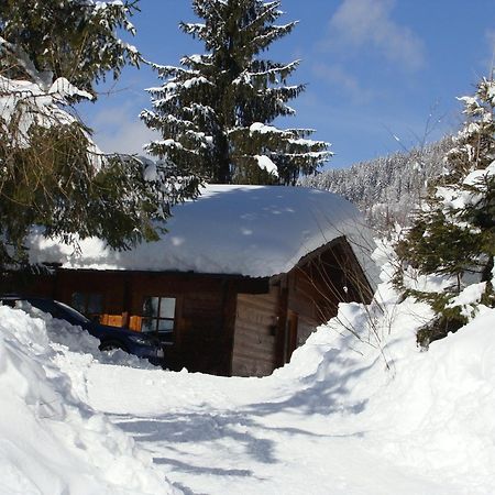 Chalets Ebner Ебен им Понгау Екстериор снимка