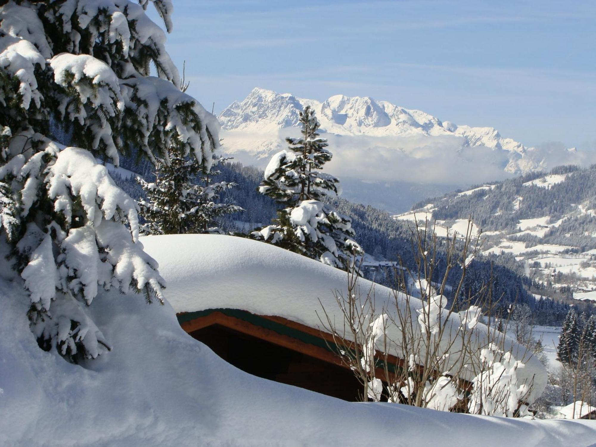 Chalets Ebner Ебен им Понгау Екстериор снимка